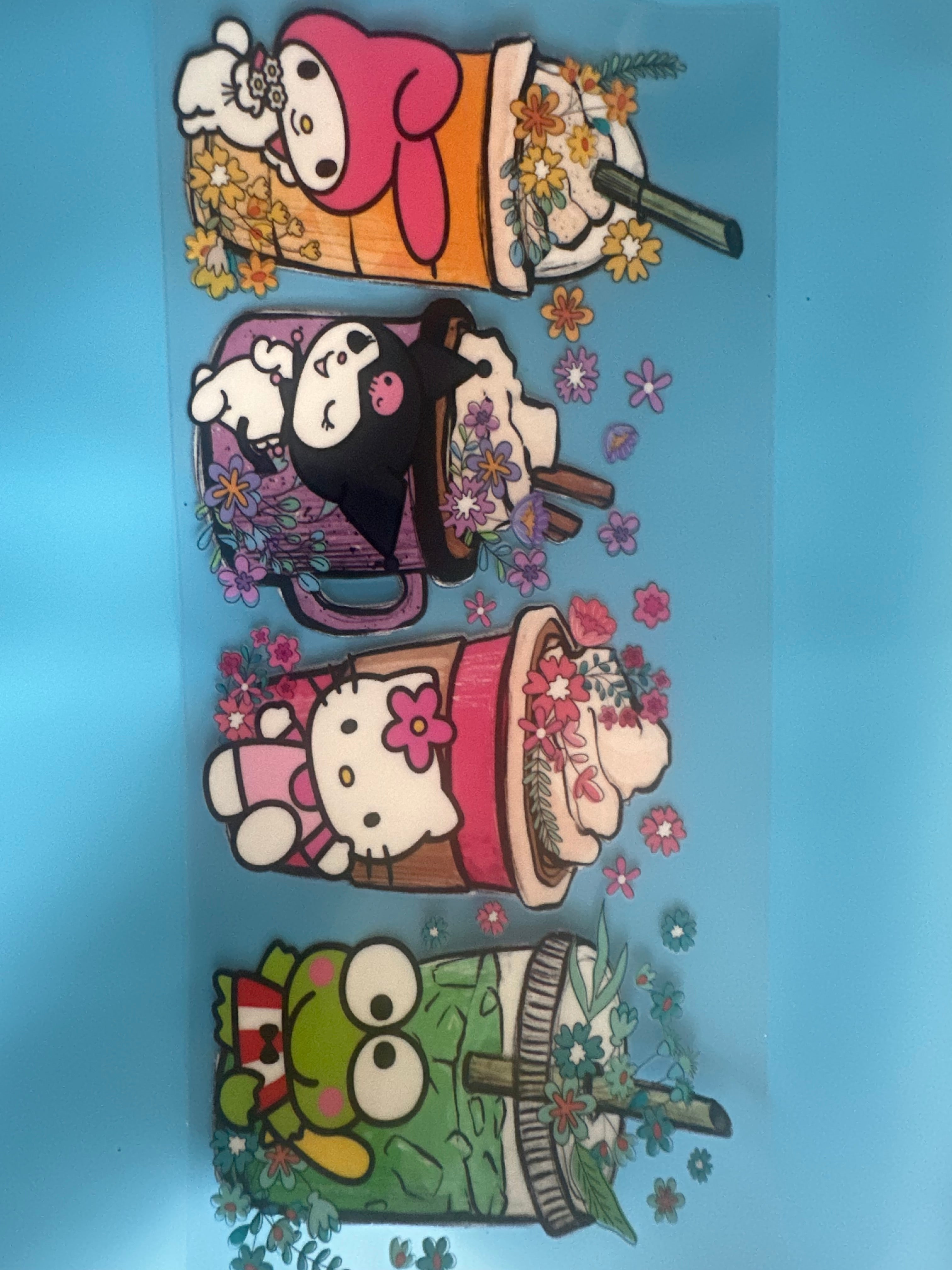 Cartoon Wraps
